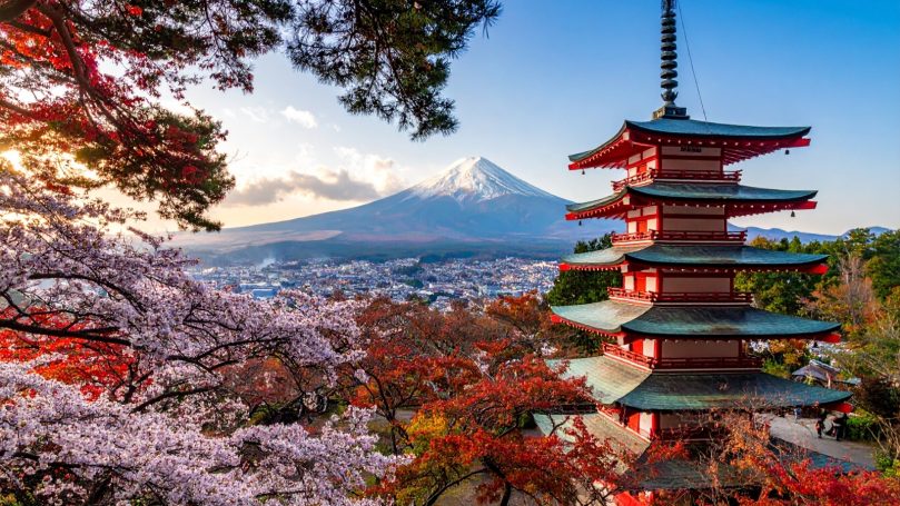 Extraordinary Adventures Cherry blossoms frame a red pagoda with Mount Fuji in the backdrop at sunset.